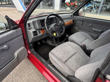 Rover 100